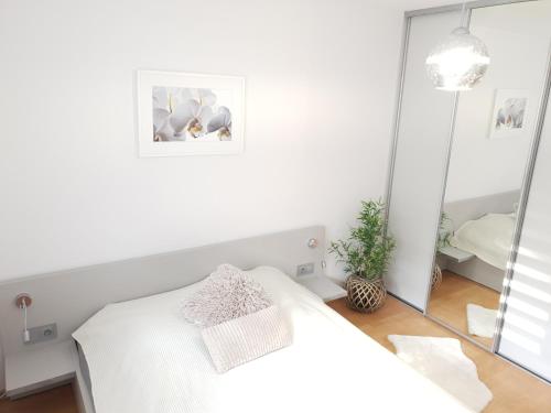 Apartament Bolek i Apartament Lolek, Zakopane (fotografie 9)