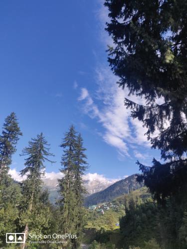 Solang Diaries- Manali