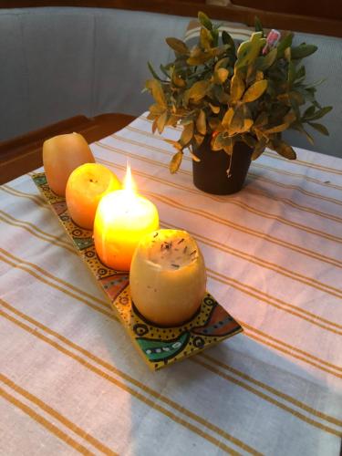 Ételek és italok, Winter Sailing with your friends or stay only in cosy oceangoing yacht From Mai 2026 Lyra is on the  in Oude Stad