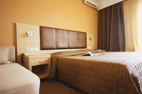 Orpheus Hotel - image 3
