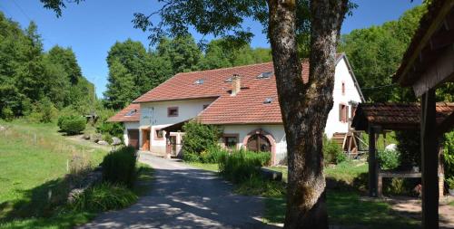 Acconat-Domaine du Moulin ( 8 Gîtes ) - Location saisonnière - Ban-de-Sapt