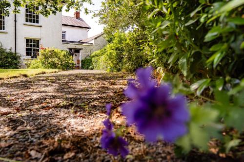 Enchanted Retreats at West Ford Devon