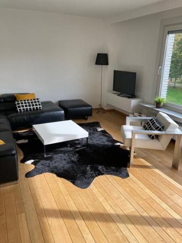 Lichtrijk mooi appartement met zicht op hof van Roosendael, Amberes (foto 3)