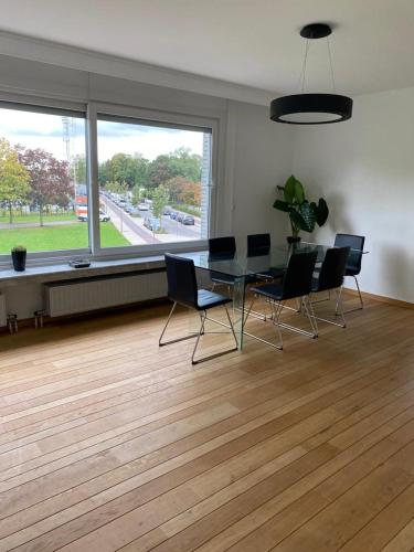 Lichtrijk mooi appartement met zicht op hof van Roosendael, Amberes (foto 5)