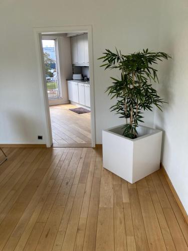 Lichtrijk mooi appartement met zicht op hof van Roosendael in Merksem