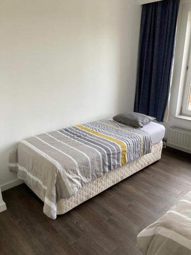 Lichtrijk mooi appartement met zicht op hof van Roosendael, Amberes (foto 8)