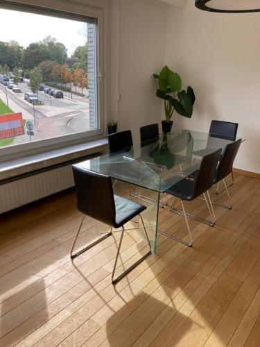 Lichtrijk mooi appartement met zicht op hof van Roosendael in Merksem