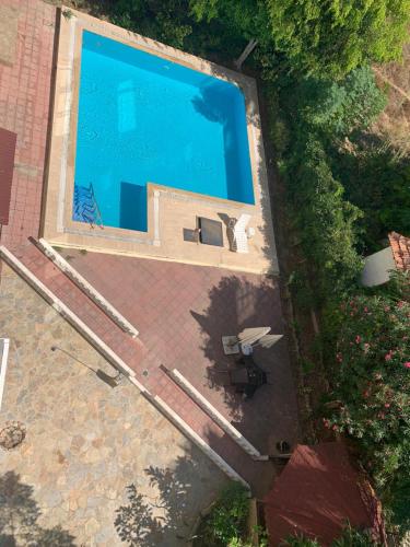 Palmenbau Beach Apartment