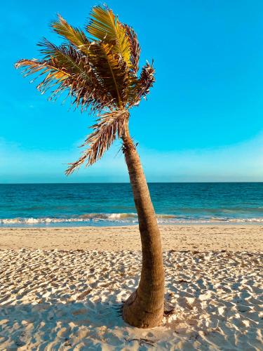 The Lookout - Coral Beach