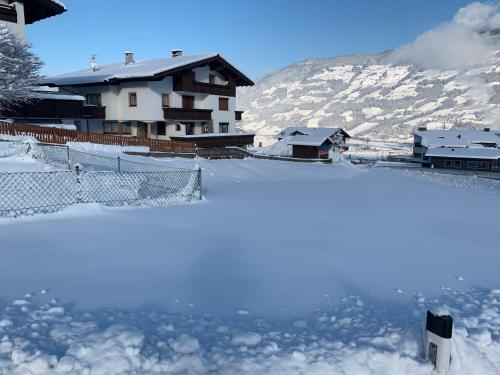 Appartement Hollaus