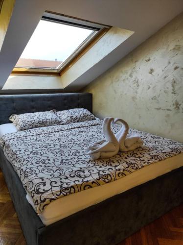 Apartmani Jasmin - image 3