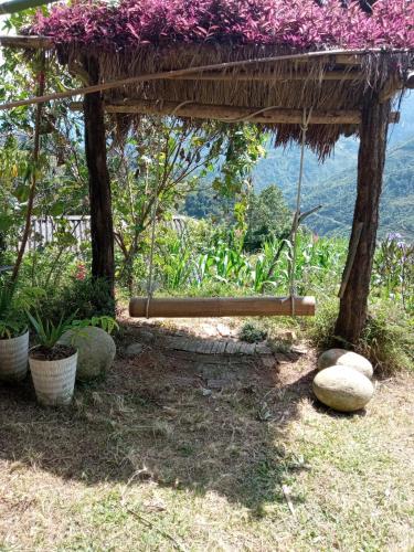 My's Homestay sapa - 정원