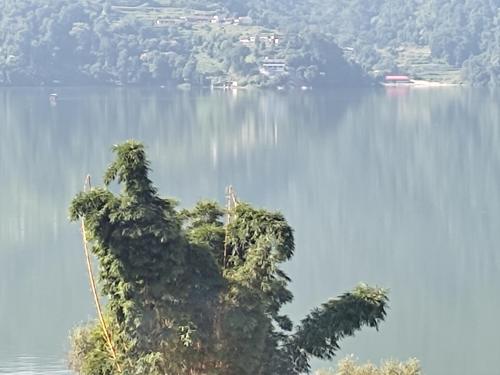 Hotel Green Hill View – Pokhara, FL