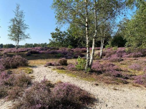  Duinhoek: Luxe studio, prachtig en rustig gelegen in Zeist