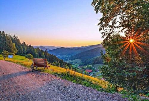 Ferienhaus Wendelinus mit Pool & Sauna - Apartment - Hausach