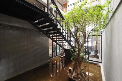 Labkoff cafe and Hostel