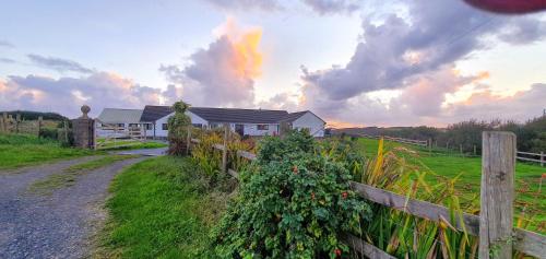 Funky, family-friendly five bed beach house on cliff looking over Tenby, Pendine, Pembrokeshire