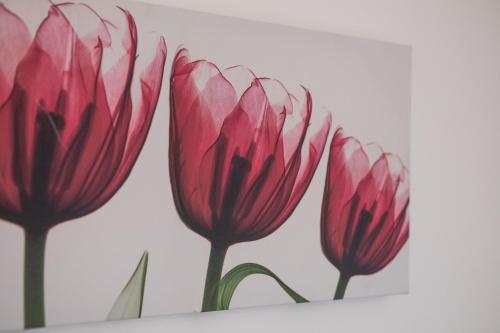 Modern Coastal house Nr Ashington centre with WIFI