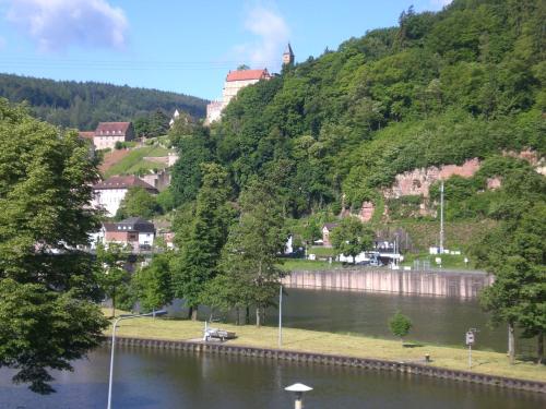 Romantisches Hirschhorn am Neckar