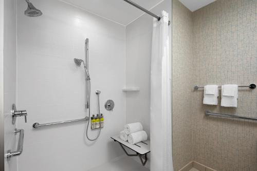 King Room with Mobility Accessible Roll-In Shower