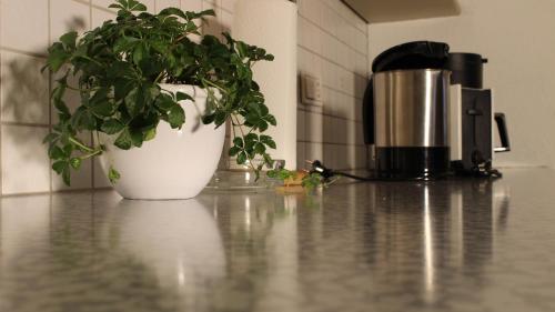Appartement Maria - image 8