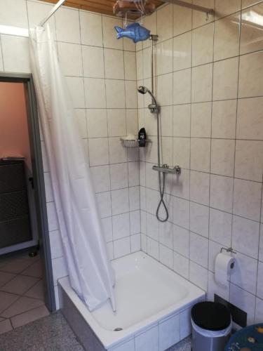 Auerandzimmer in Hildesheim