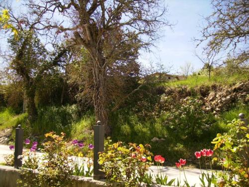 Casa Rural Fuentetrigo - image 6