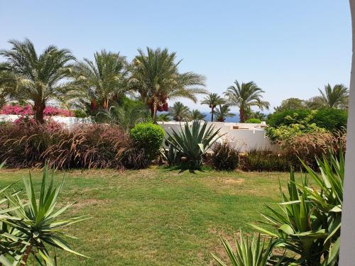 Nice villa in 5 start resort for rent