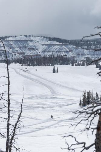 Condo SS7B- Dog Friendly Cozy Ski InOut Laundry Privacy Great Location - image 2