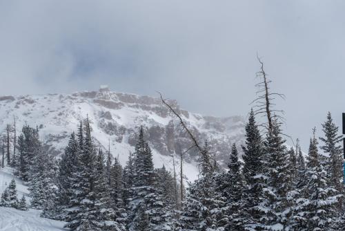 Condo SS7B- Dog Friendly Cozy Ski InOut Laundry Privacy Great Location - image 4
