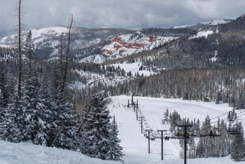 Condo SS7B- Dog Friendly Cozy Ski InOut Laundry Privacy Great Location - image 5