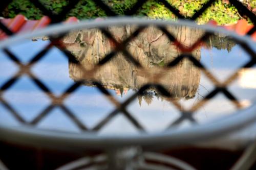 Dominique Meteora House