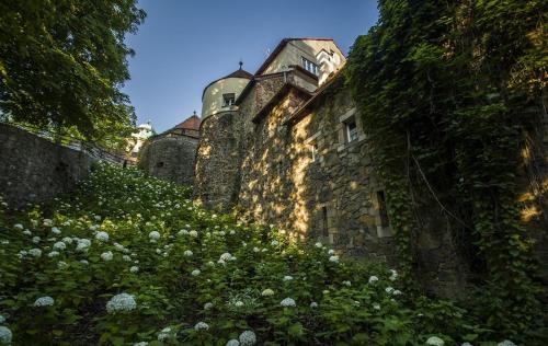 Hotel Przy Oślej Bramie - Zamek Książ - image 6