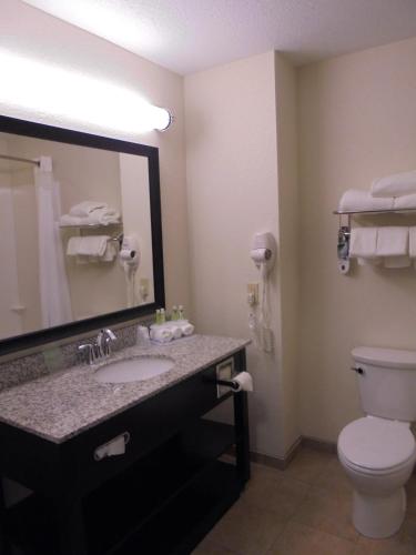 Holiday Inn Express & Suites Nevada