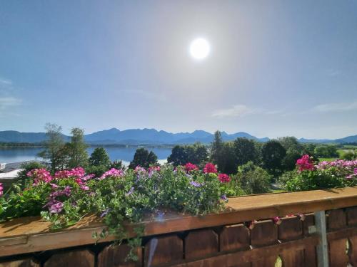 Landhaus Amberg Hopfen am See // Hopfensee // Füssen in Füssen, Deutschland