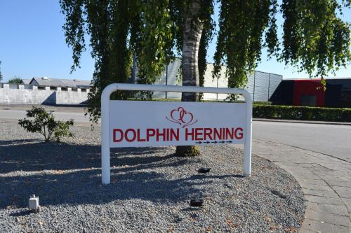 Dolphin Rooms - main image