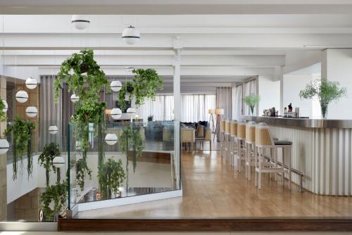 Bar, Amus Hotel & Spa in Rhodos