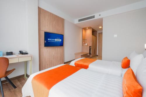 Deluxe Twin Room image 9