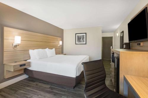 1 king bed