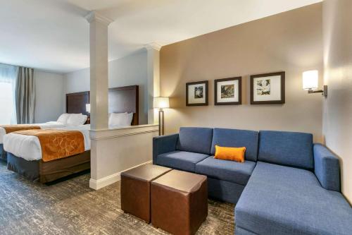 Comfort Suites - image 11