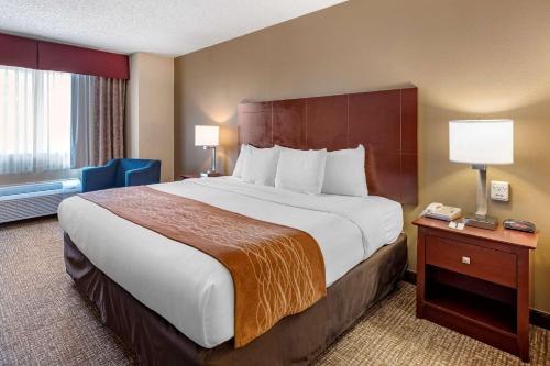 Comfort Inn & Suites Kelso - Longview - image 9