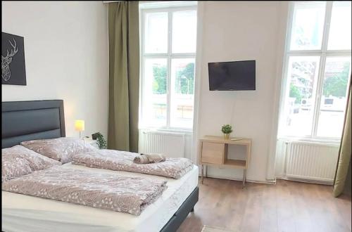 Cozy new apartment near Hannovermarkt, Vídeň