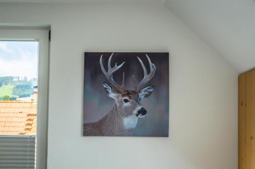 MINAROSO appartements am badeparadies MINAROSO appartements am badeparadies