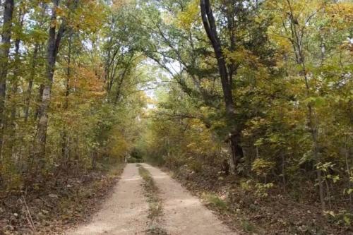 Whispering Pines in the Country on 40 Acres