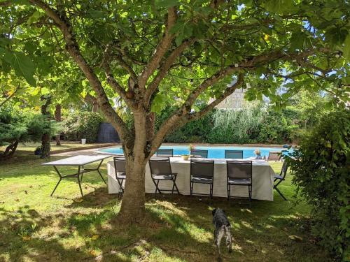 Chateau de Brissac in Brissac-Quincé