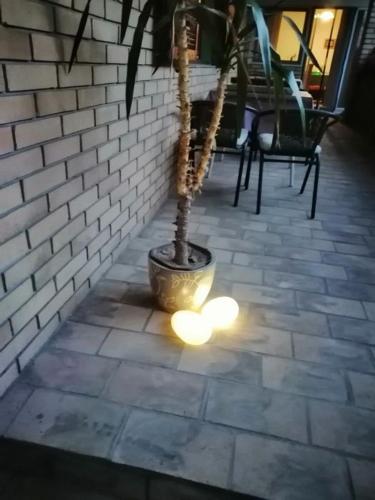 Citadela, Sombor (foto 9)