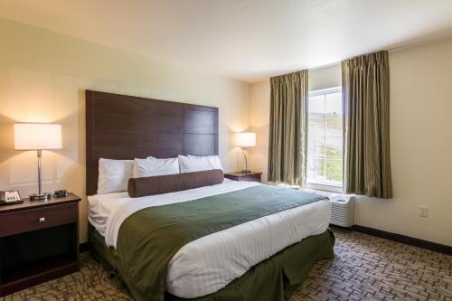 1 king bed