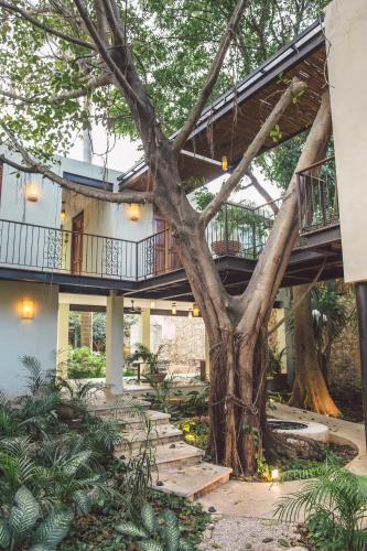 TreeHouse Boutique Hotel, an adults only boutique hotel in Mérida, Mexico