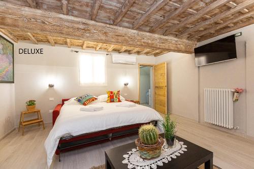 Geppi's Apartments, Florencie (fotografie 6)