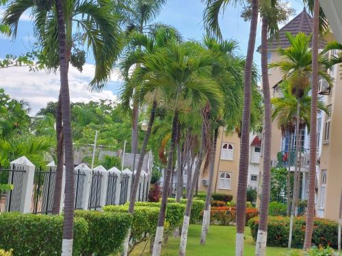 Vrt, WINS On The Beach (@ Sandcastles Resort) in Ocho Rios